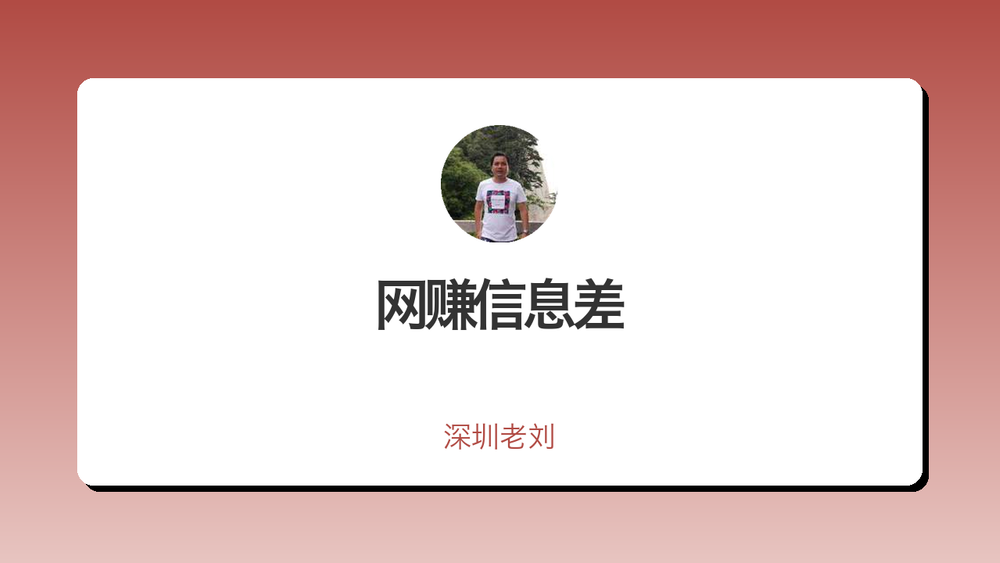 网赚信息差 封面