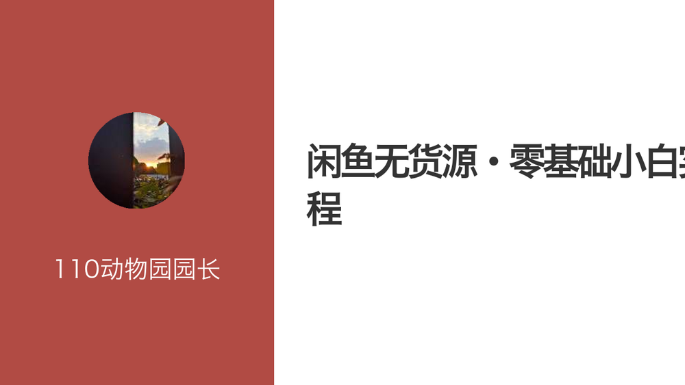 闲鱼无货源·零基础小白实操教程 封面