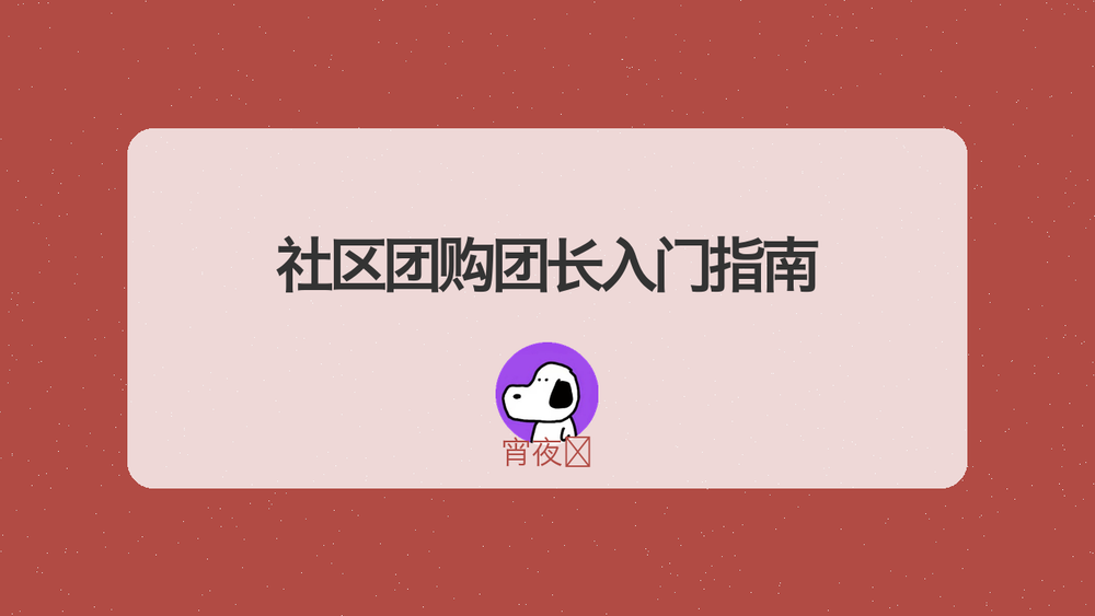 社区团购团长入门指南 封面
