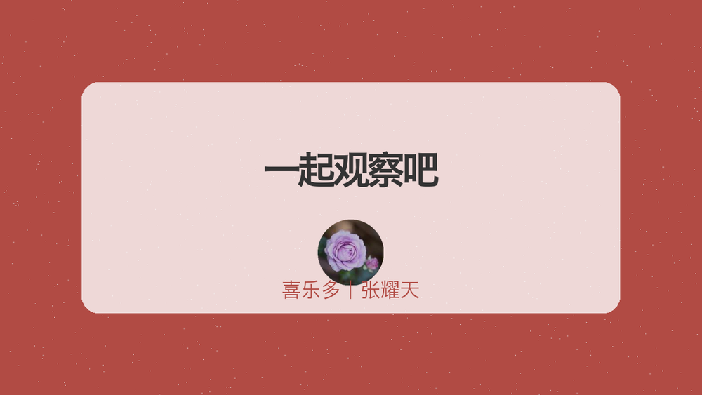 一起观察吧 封面