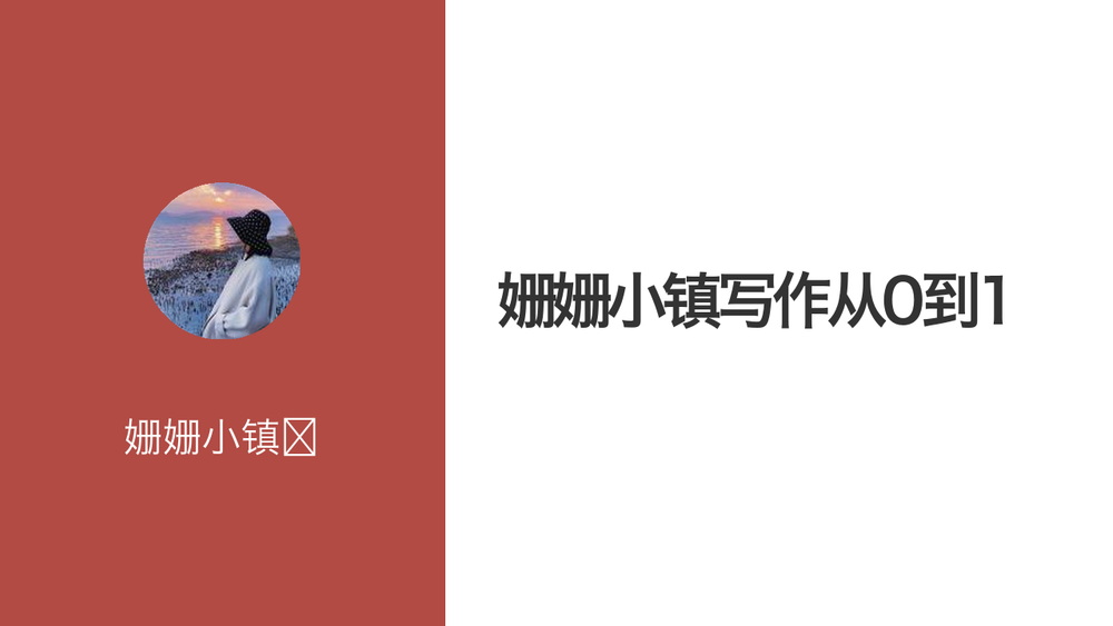 姗姗小镇写作从0到1 封面