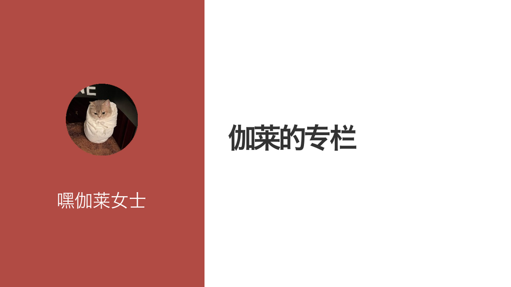 伽莱的专栏 封面