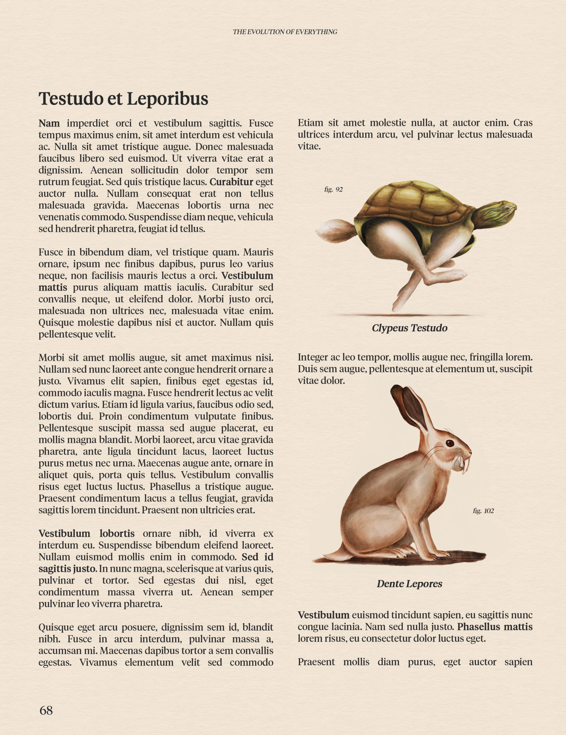 Coda naturalist evolution stories, asset 3