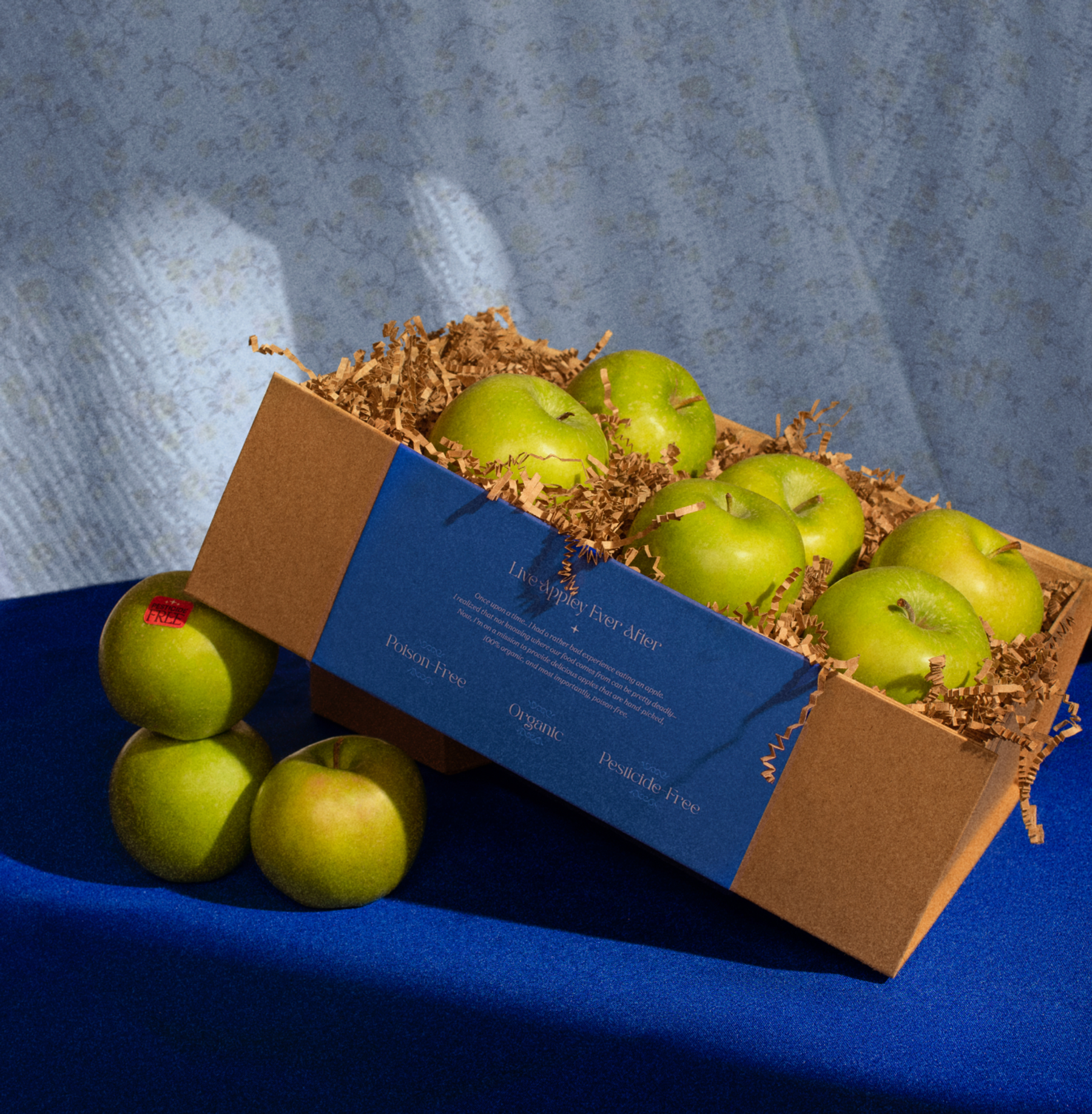 Squarespace photography asset 02