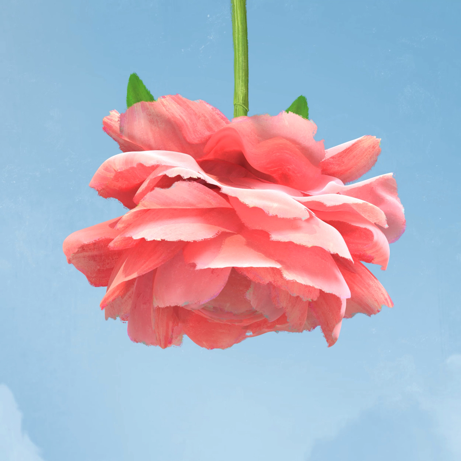 Thorne photography asset 01