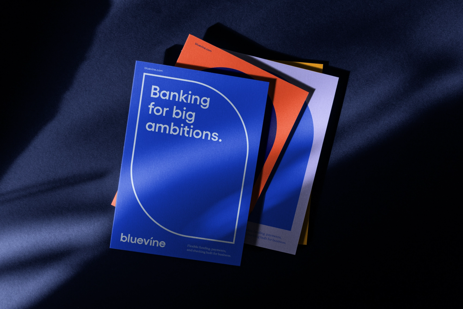 Bluevine logo asset 03