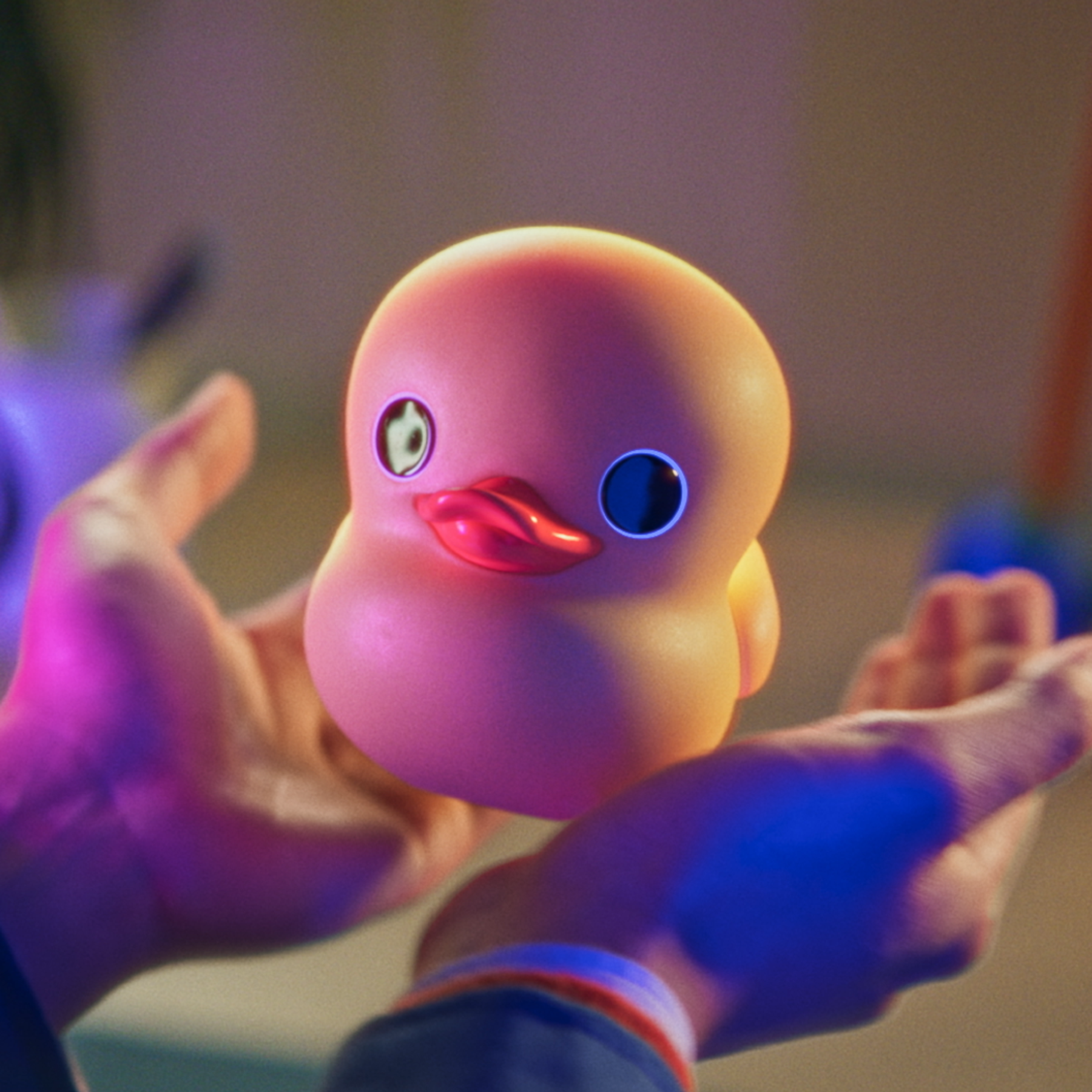 GitHub photography asset 02