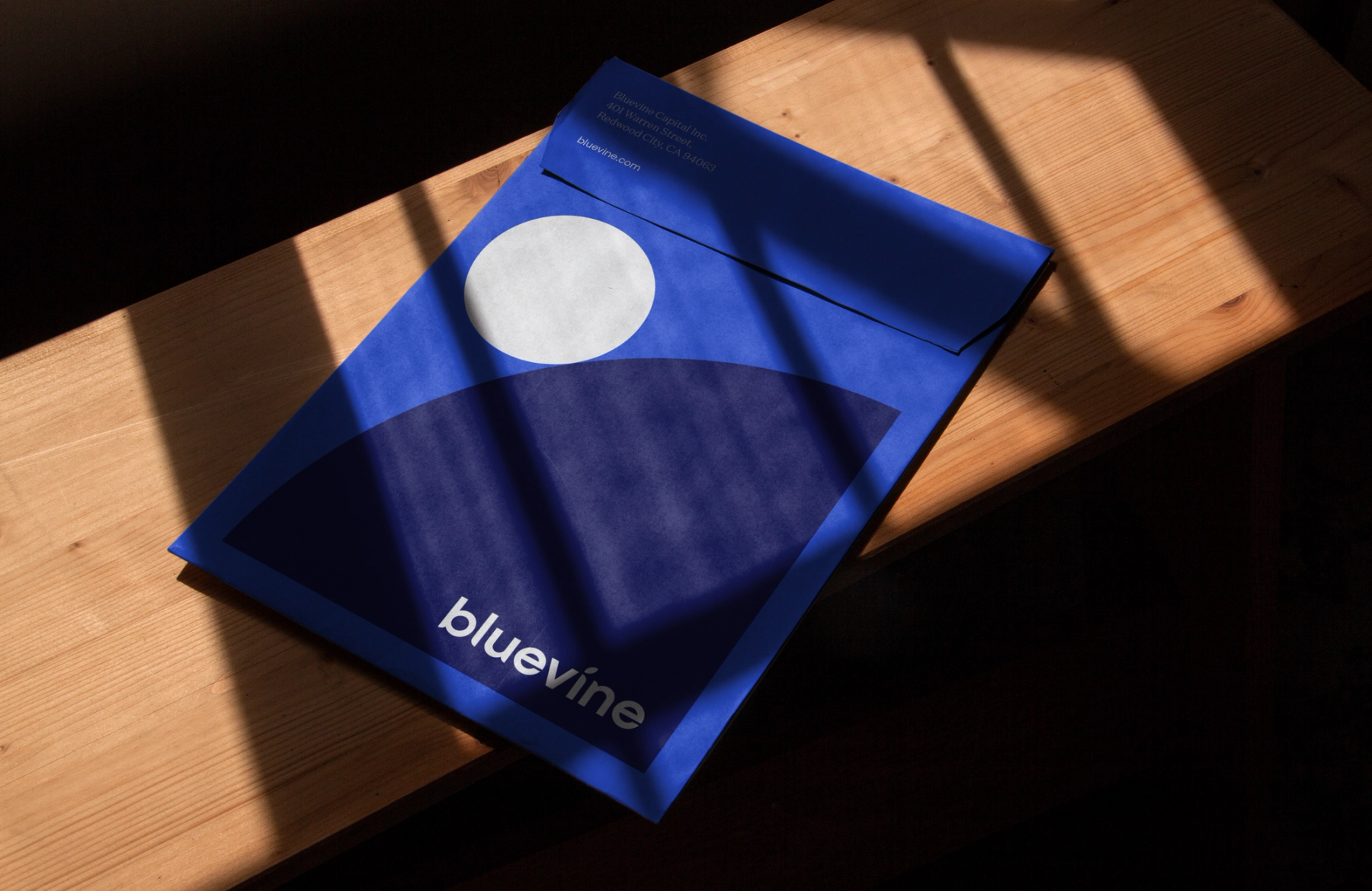 Bluevine logo asset 01