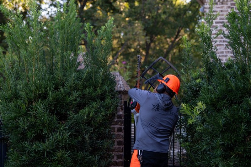 True Star crew trimming shrubs at community