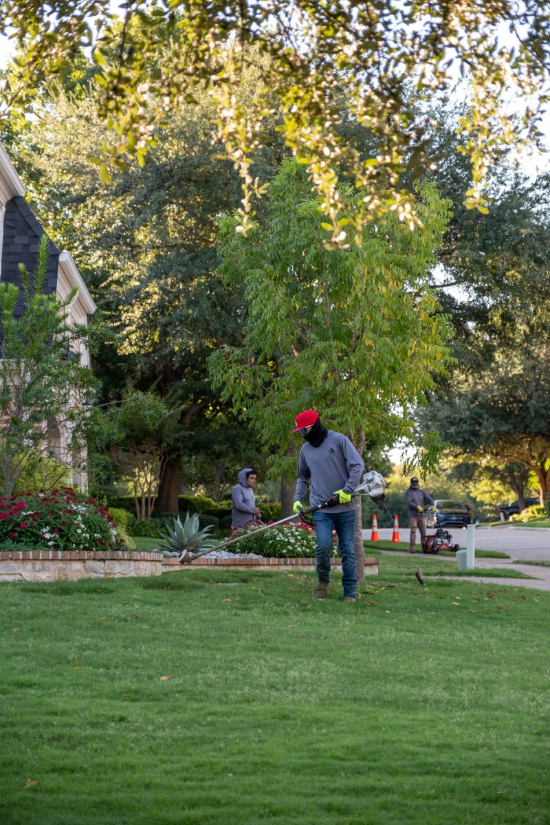 True Star crew trimming at commercial property