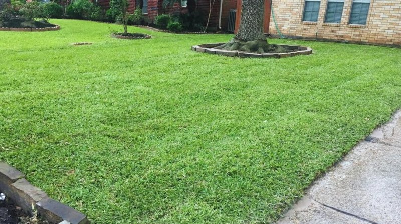 Turf with paver border