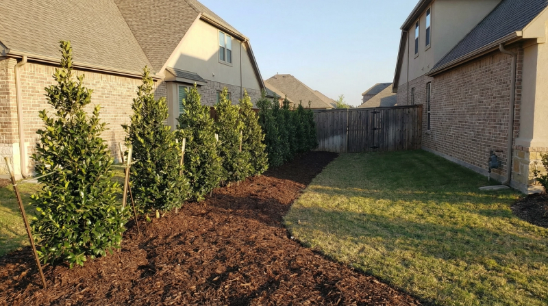 Landscape with pavers