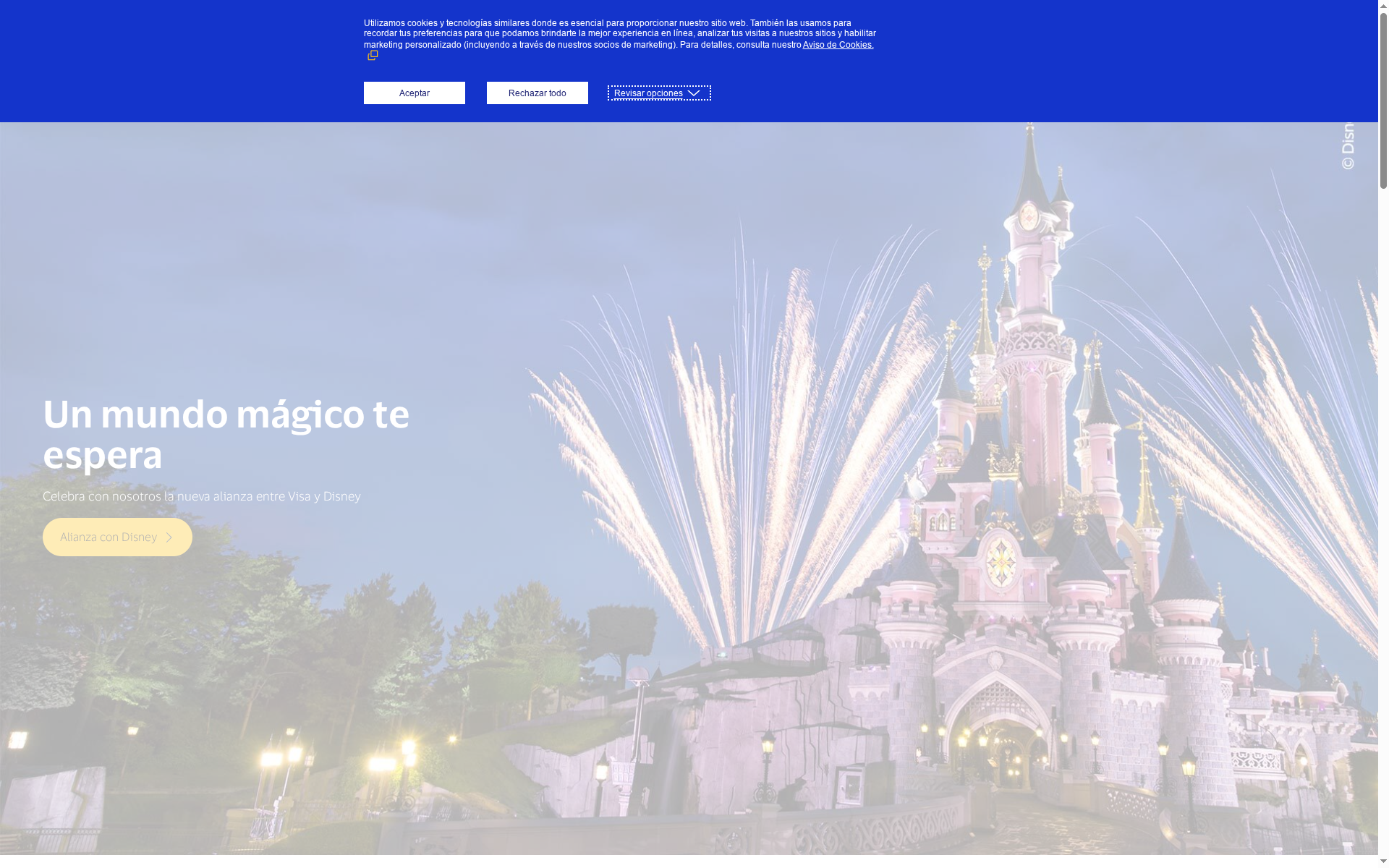 Visa website screenshot