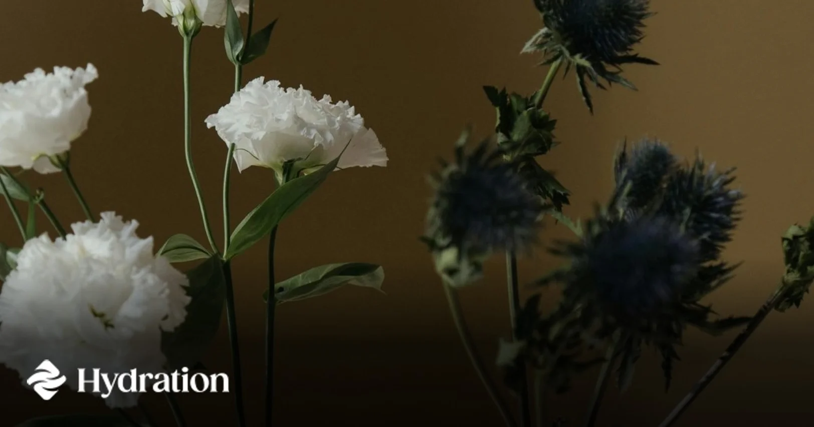 Hydration Launches HOLLAR, an Over-Collateralized Stablecoin on Polkadot Hydration Launches HOLLAR, an Over-Collateralized Stablecoin on Polkadot