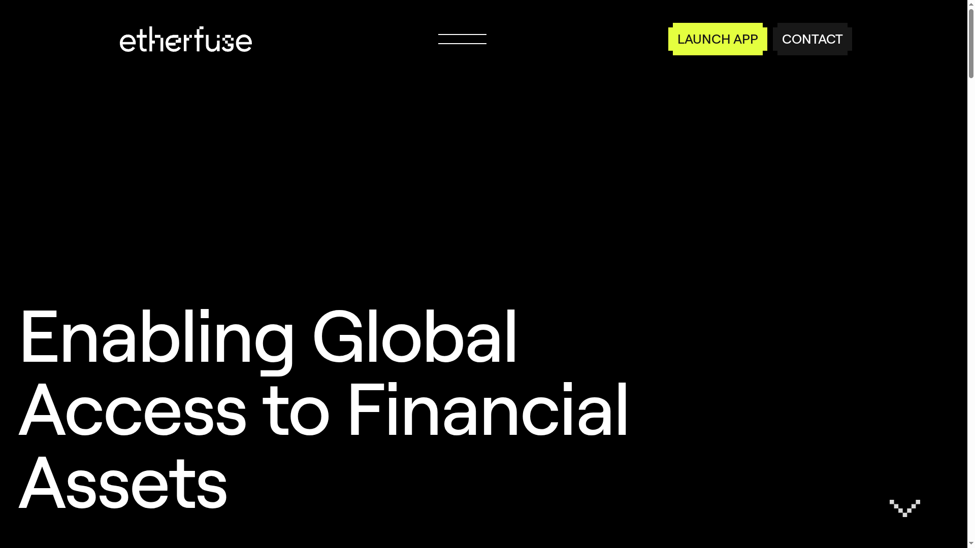 Etherfuse website screenshot