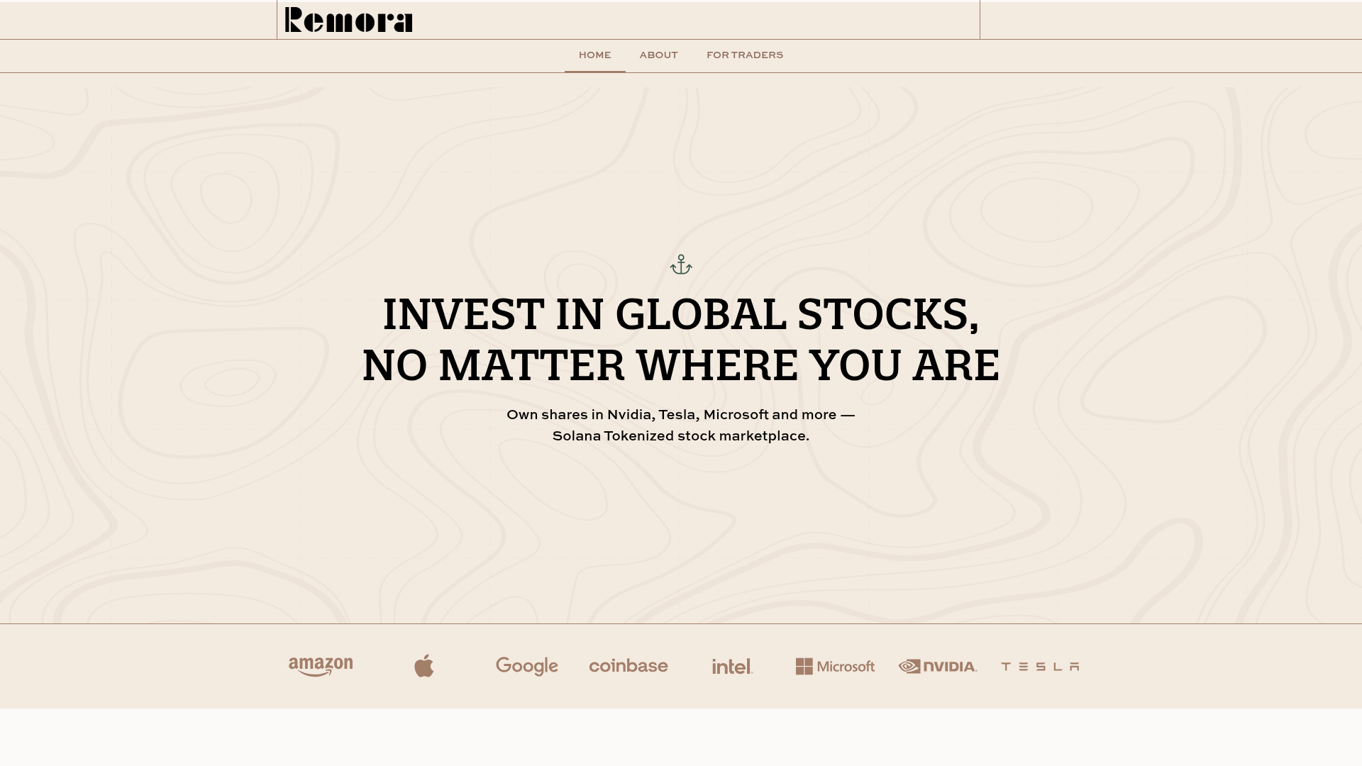 Remora Markets website screenshot