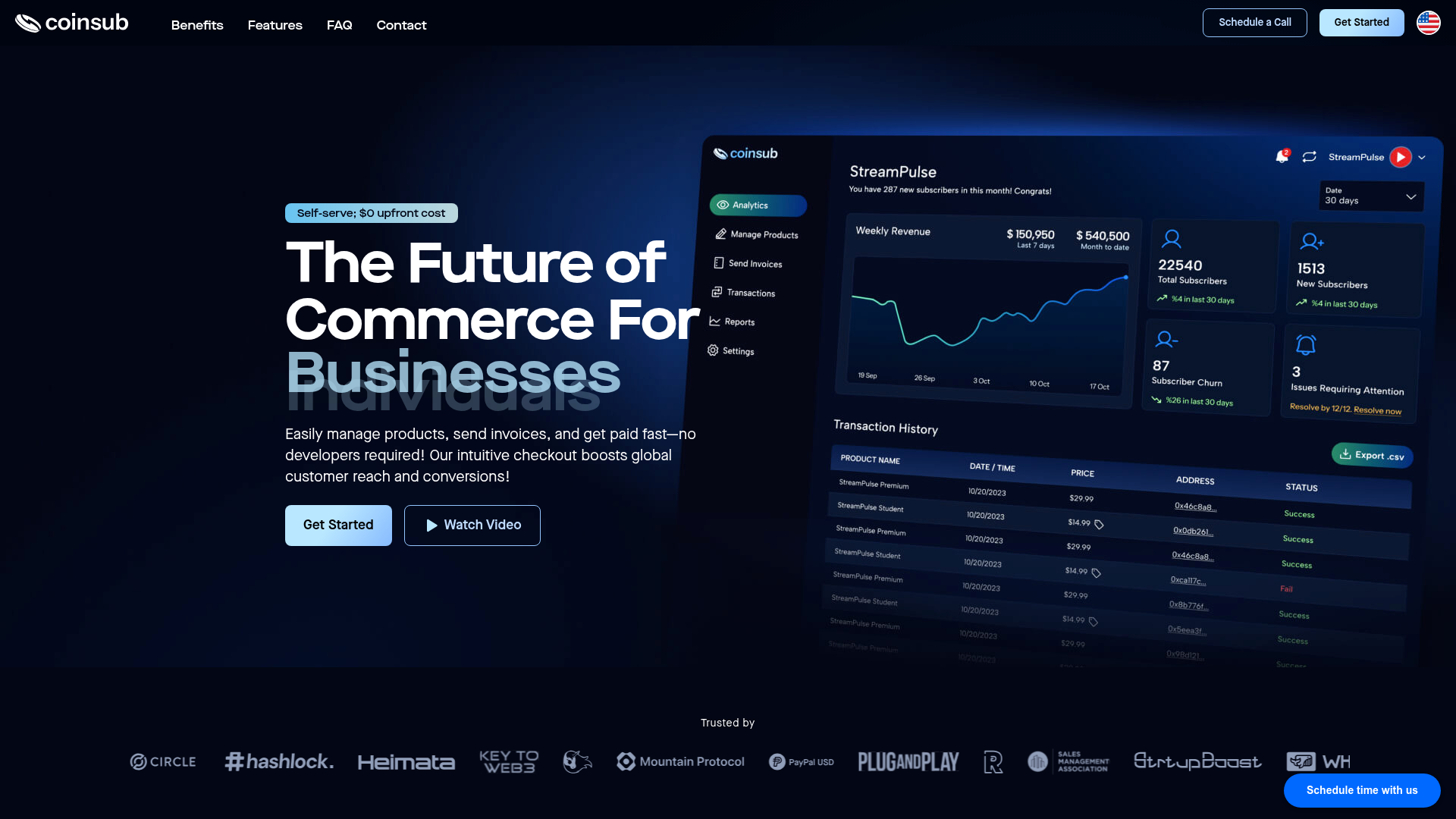 Coinsub website screenshot