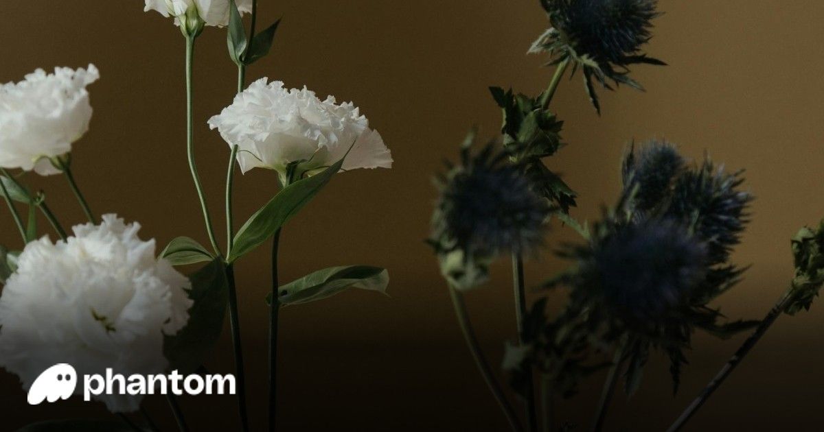 Phantom Taps Stripe and Bridge to Launch CASH Stablecoin to 15M+ Solana Users