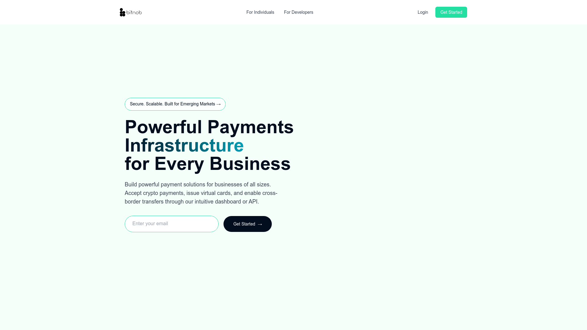 Bitnob website screenshot