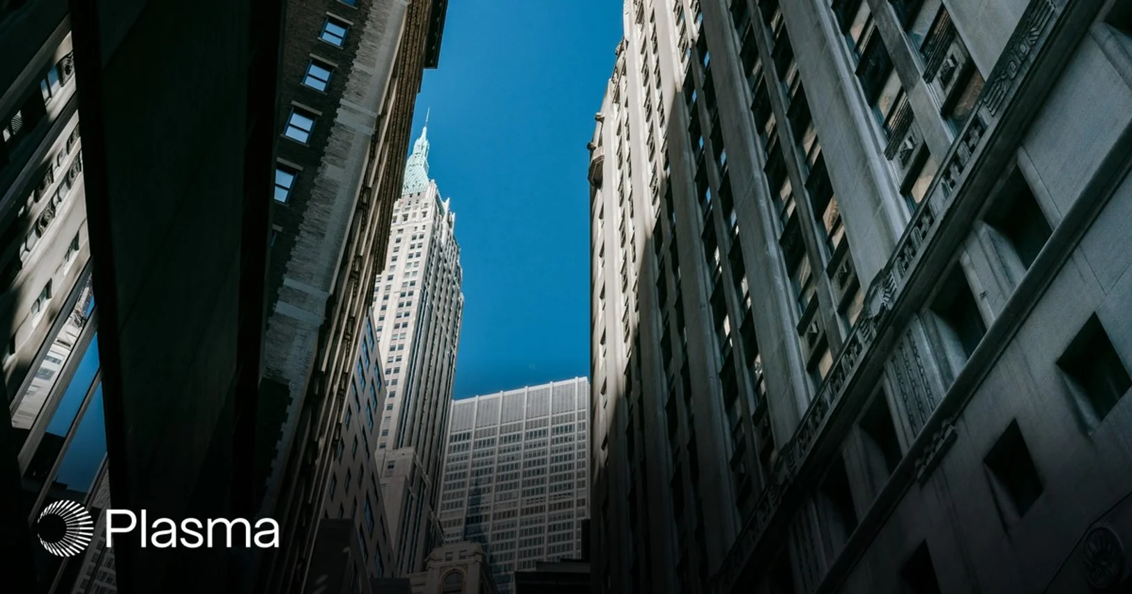 Plasma targets users exposed to shaky local currencies as stablecoin network sets launch date