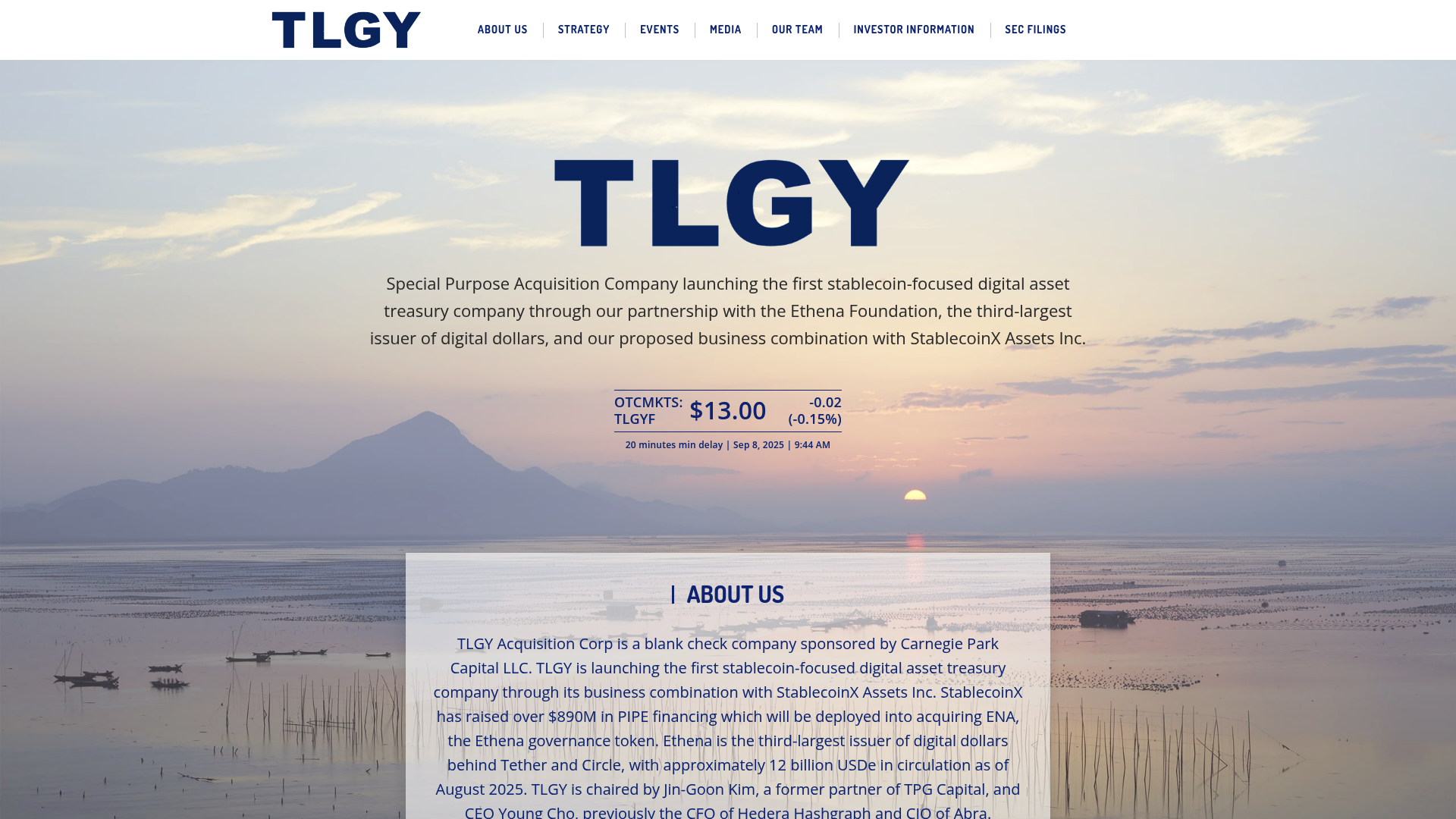 StablecoinX (TLGY) website screenshot StablecoinX (TLGY) website screenshot