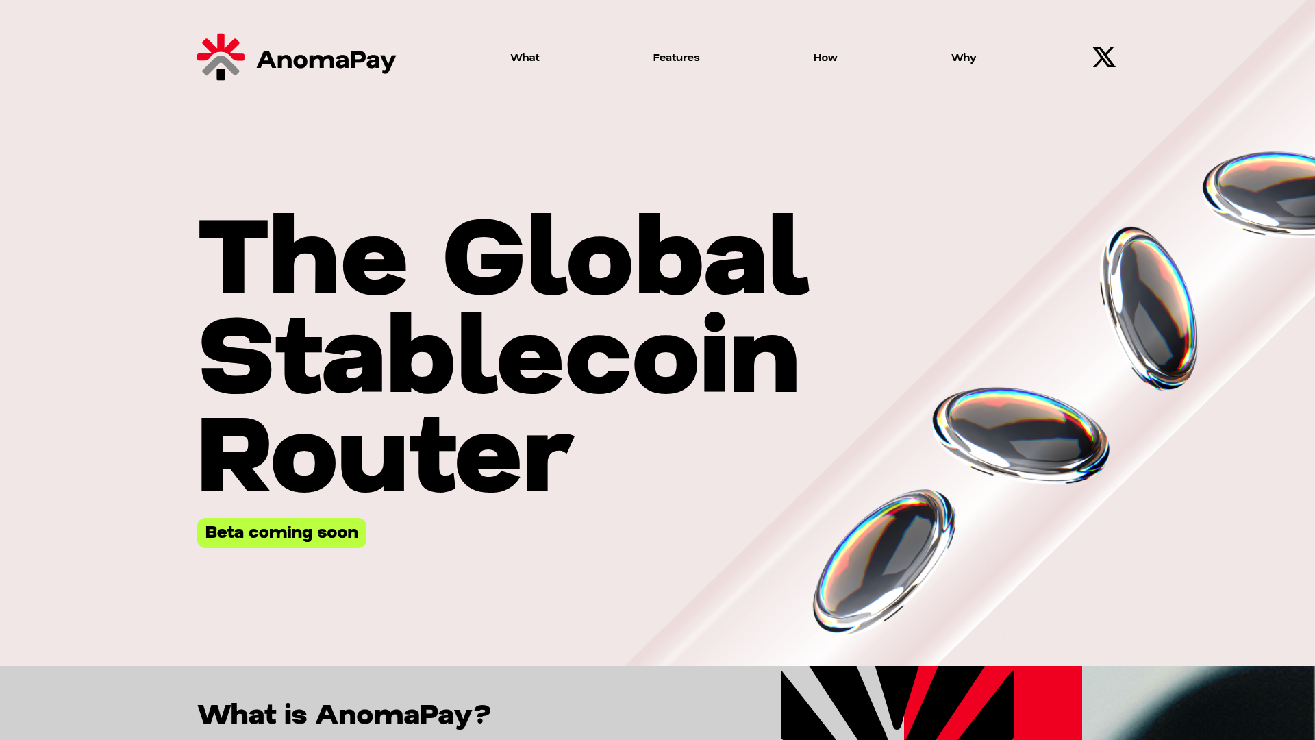 AnomaPay website screenshot