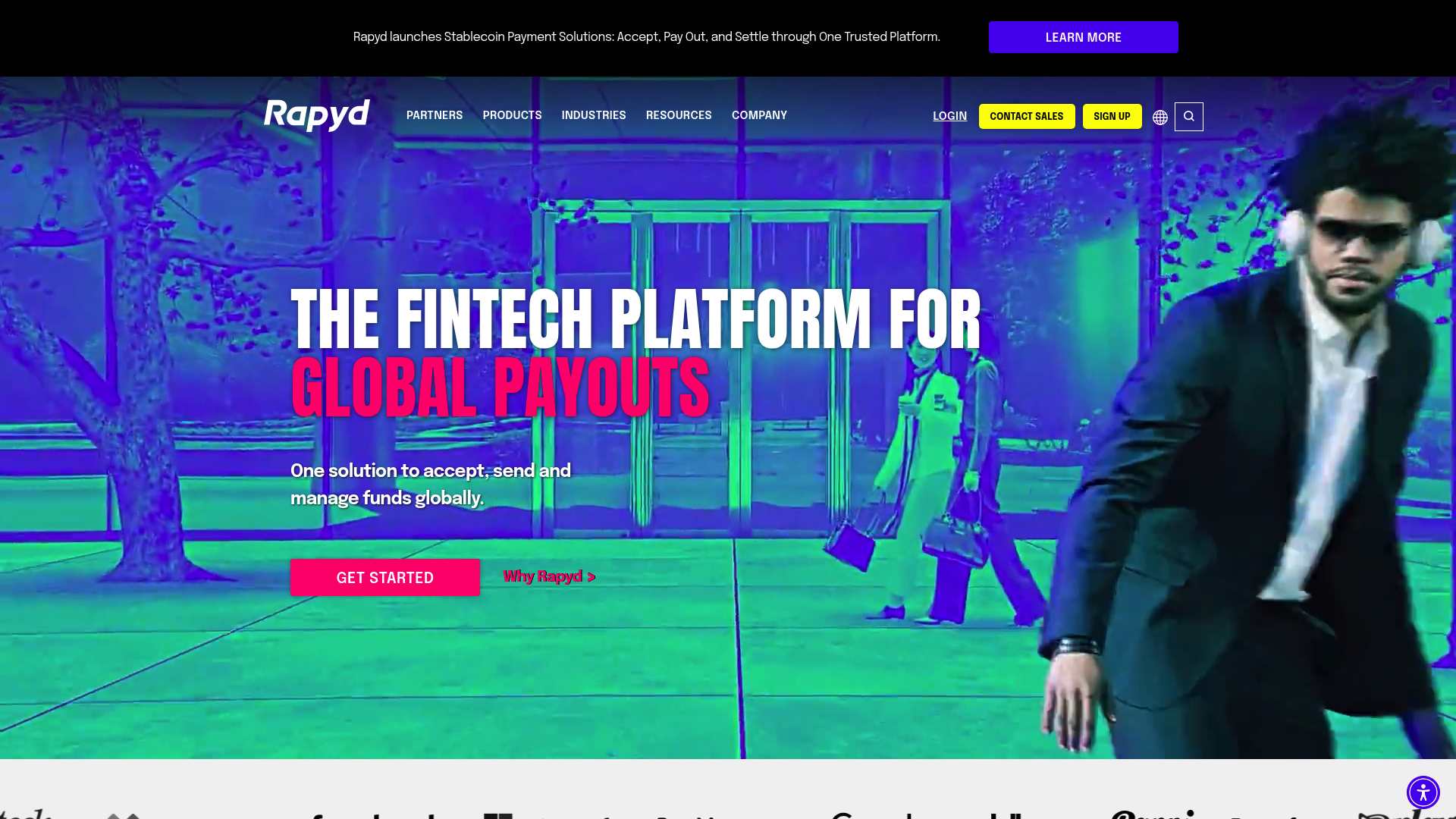 Rapyd website screenshot