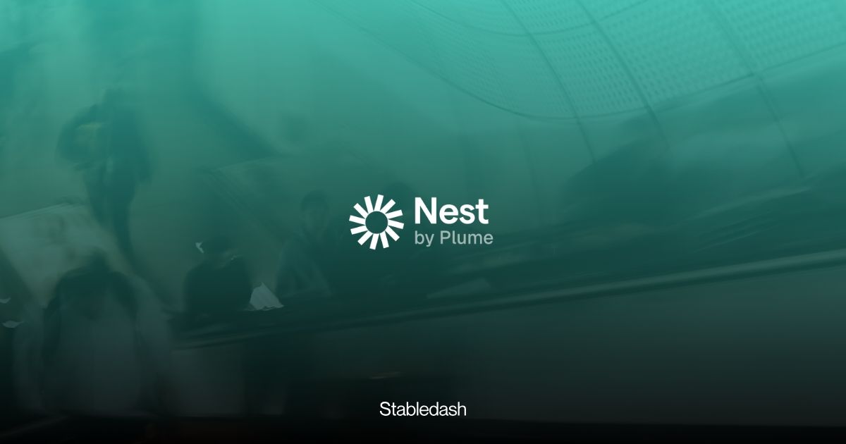 Nest Integrates with Perena to Bring RWA Yield to Solana via LayerZero