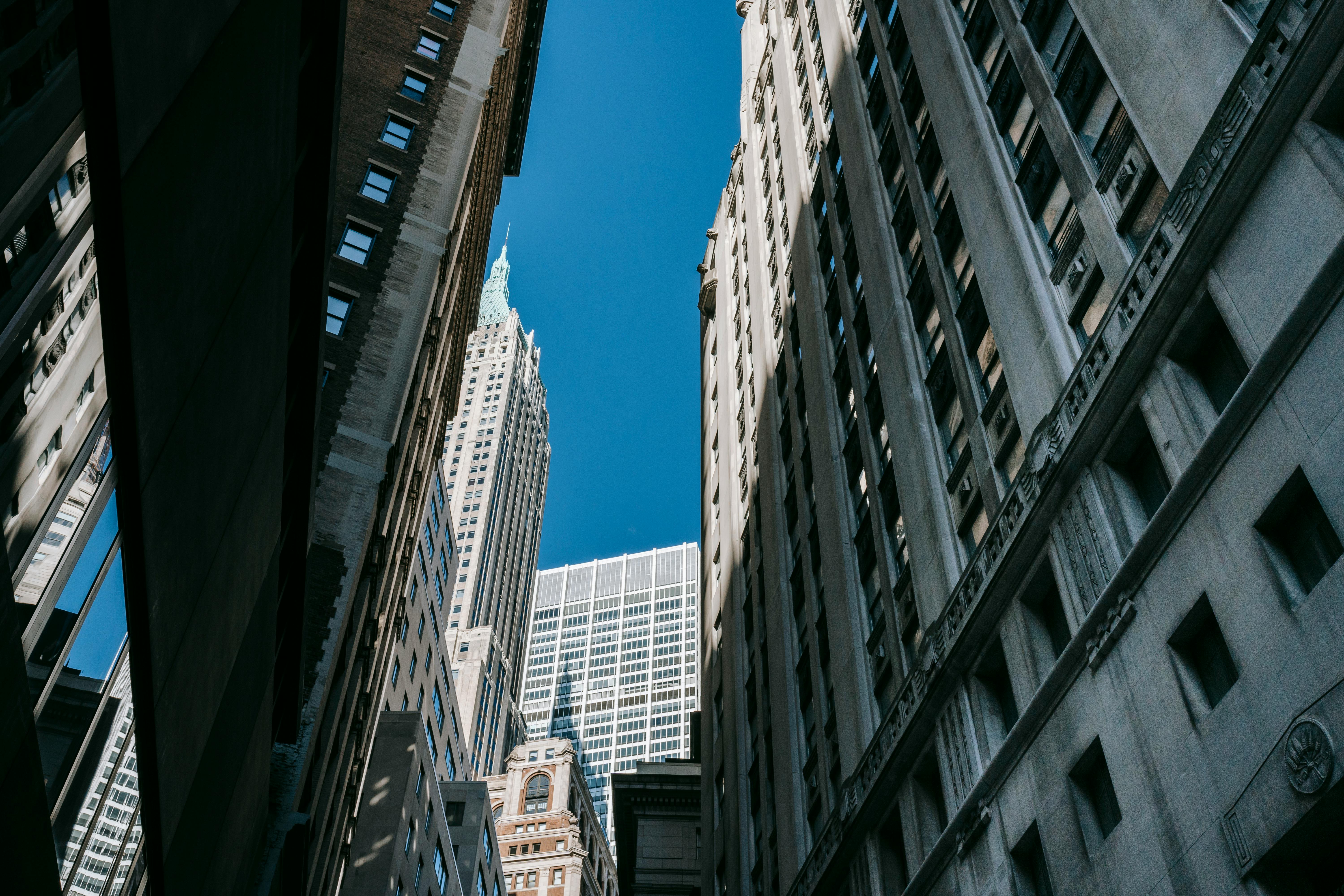 Syndicate Network Launches First US-Based Decentralized Network Under Wyoming DUNA Legislation