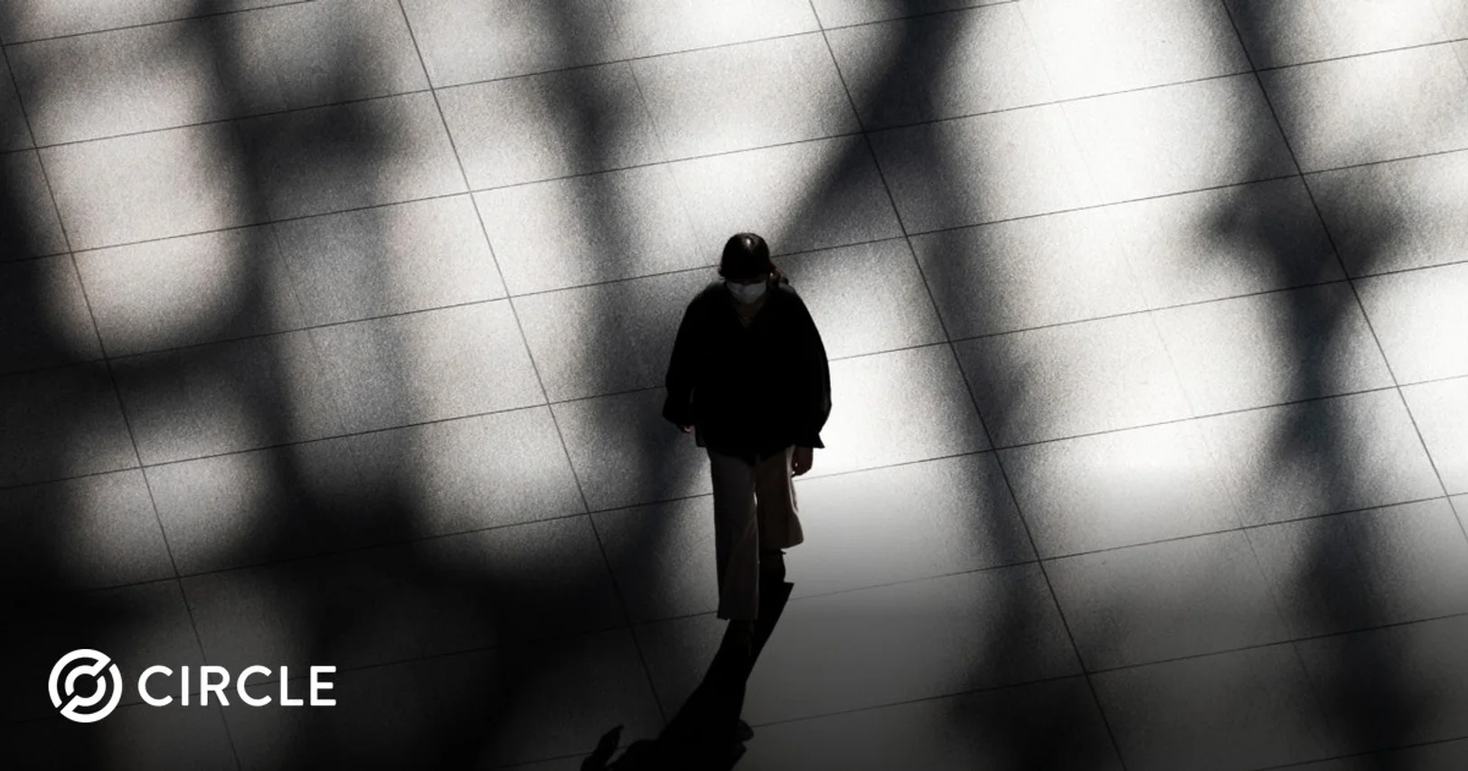 Why stablecoin issuers are spinning up their own blockchains Why stablecoin issuers are spinning up their own blockchains