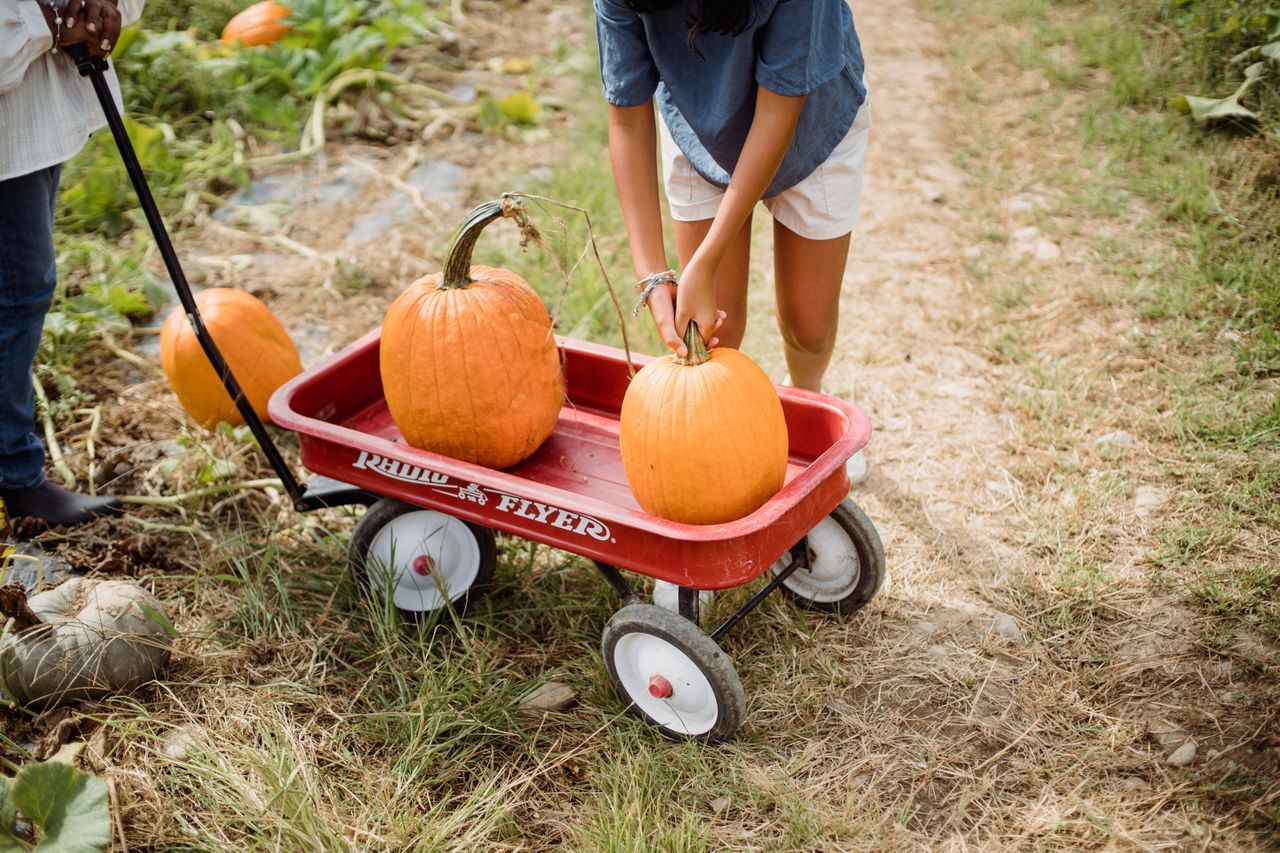 Hurt on a Hayride or at a Fall Festival in New Jersey What Could Matter in an Injury Claim.jpg