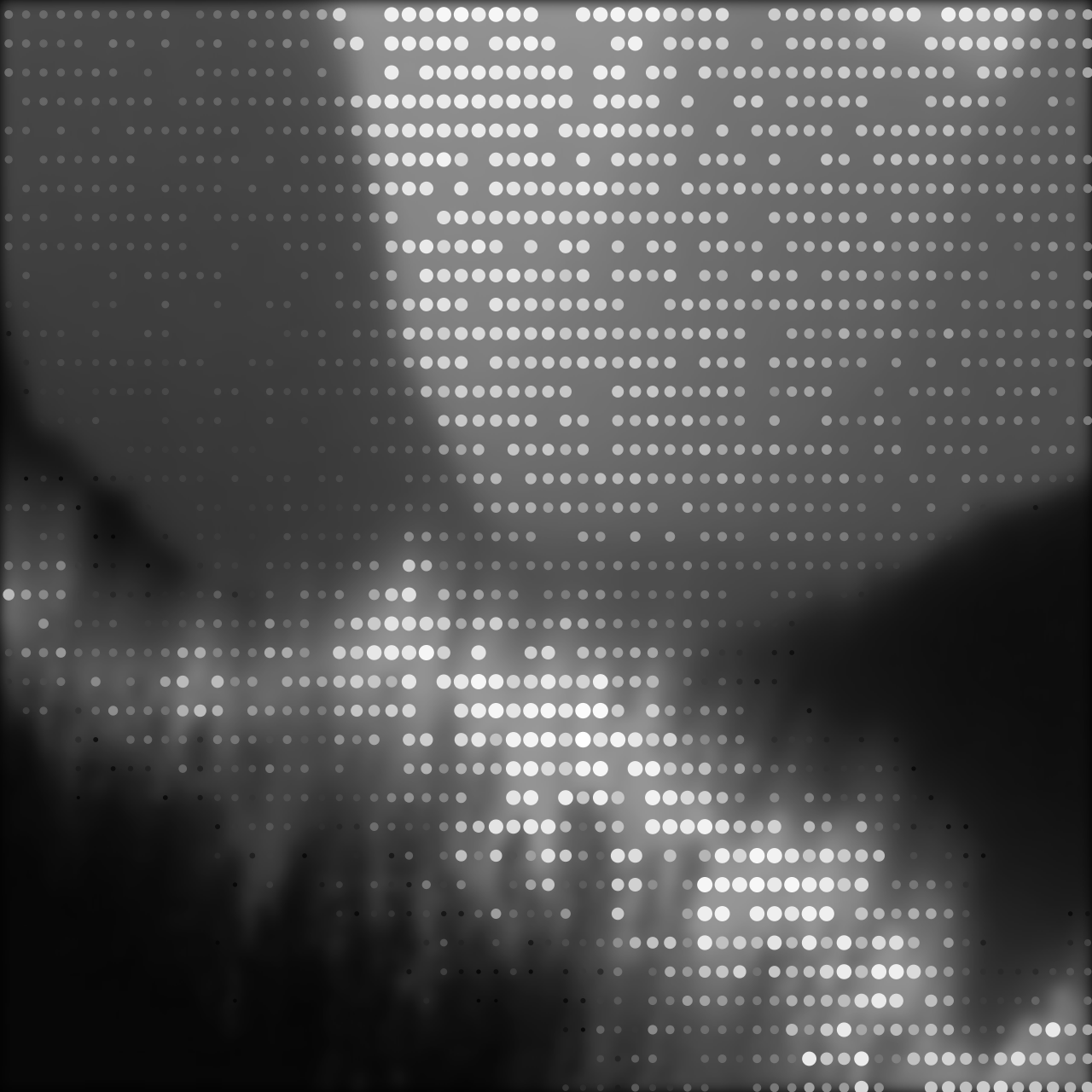 image of the article 