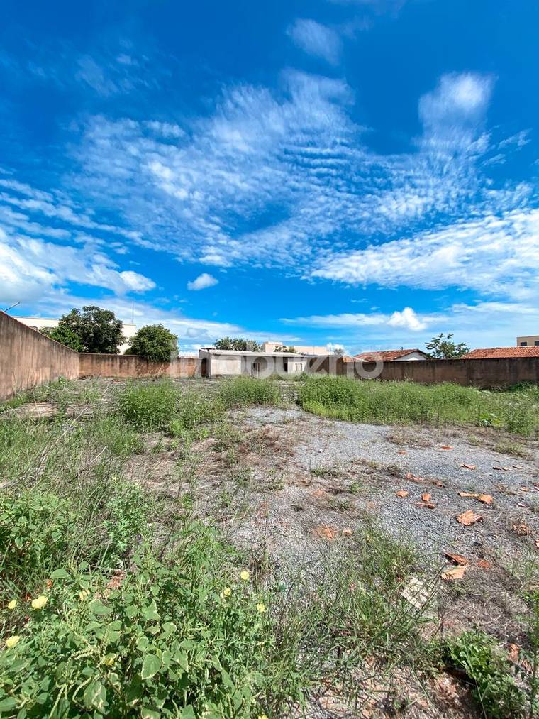 Terreno plano de 1.160 m² murado ao lado do Estádio Diogão no Setor Primavera em Setor Primavera