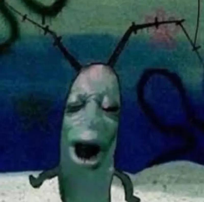 plankton