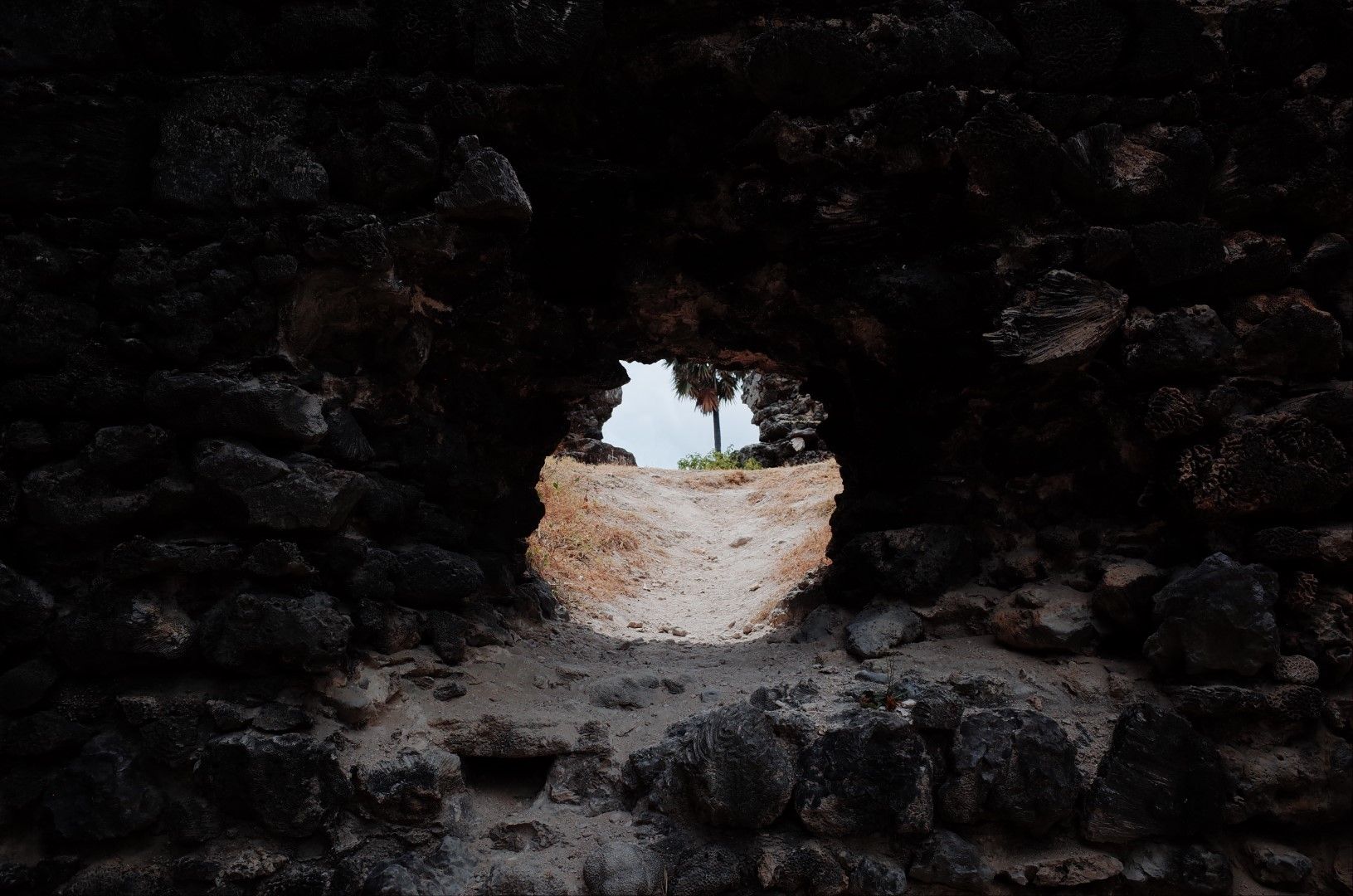 An Immersion Into the Obscure Nature of Remote Delft Island in Sri ...