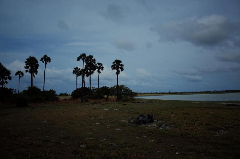 An Immersion Into the Obscure Nature of Remote Delft Island in Sri ...