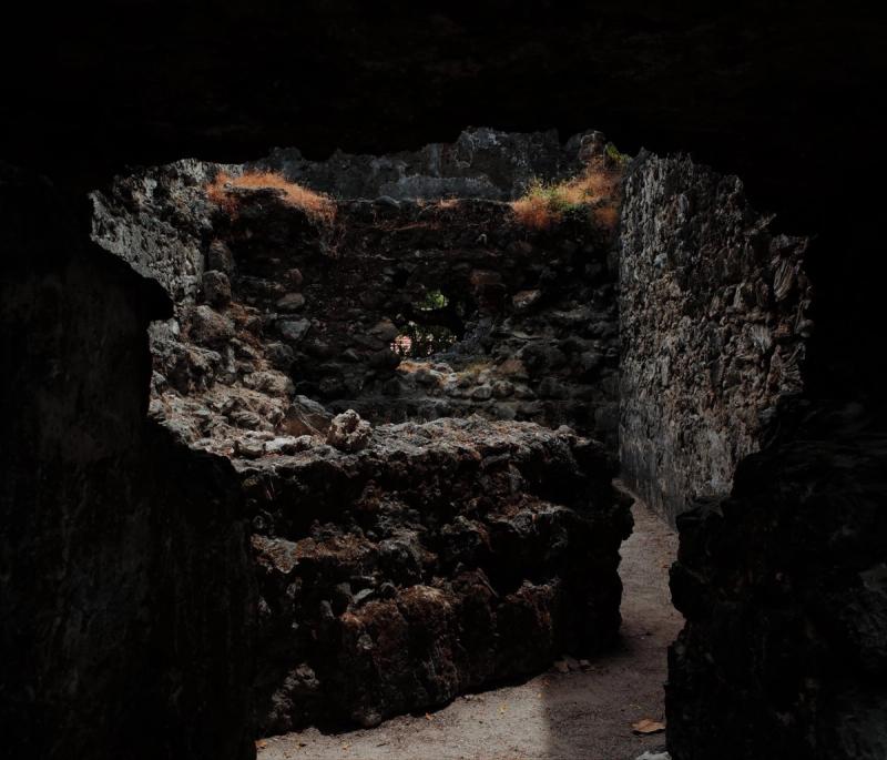 An Immersion Into the Obscure Nature of Remote Delft Island in Sri ...