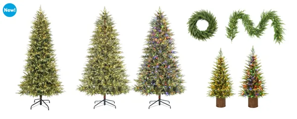 Pine collection