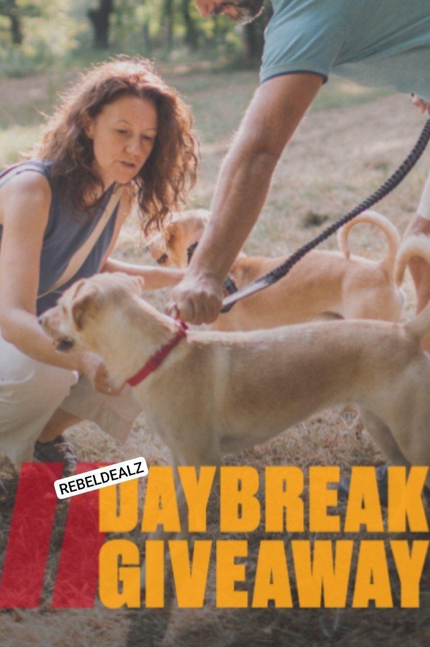 Pall Mall Day Break Instant Win Game - Win Big!