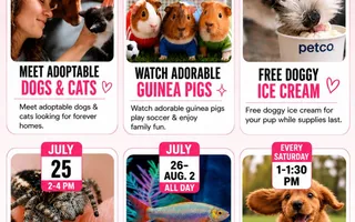 Petco Freebies & Events Happening in July 2026
