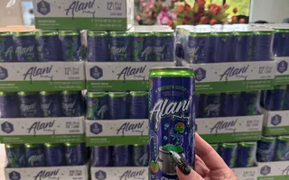 Alani Nu Witch's Brew Sugar Free Energy Drink - Seasonal Fall Flavor