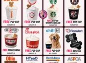 National Dog Day Freebies and Deals You Can Score on August 26