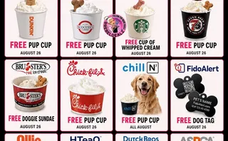 National Dog Day Freebies and Deals You Can Score on August 26