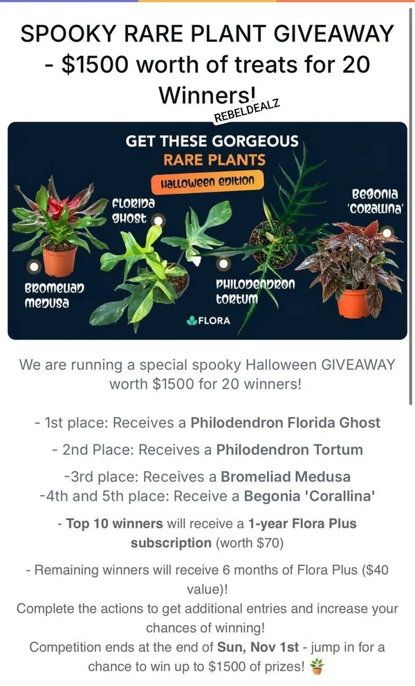 Flora's Spooky Rare Plant Giveaway: 20 Winners, $1500 in Prizes