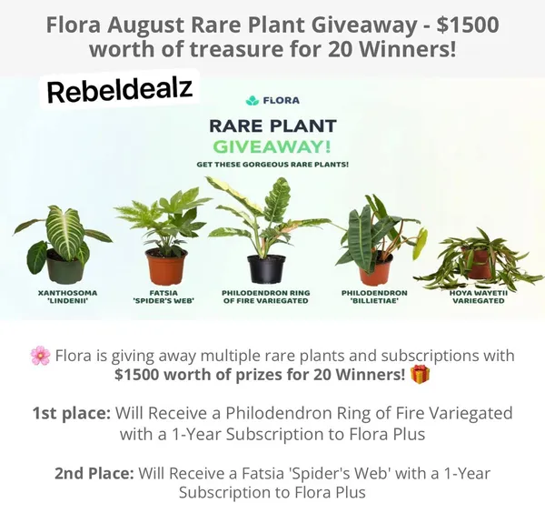 Flora August Rare Plant Giveaway: 20 Winners