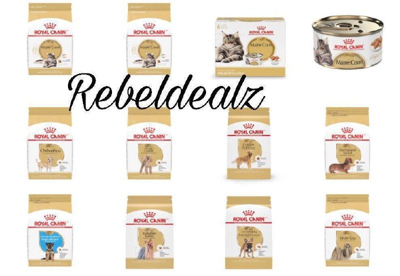 Prime Day Sale: Save on Royal Canin Dog & Cat Food