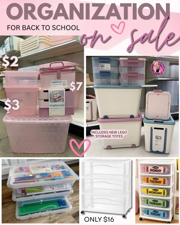 20% Off Back-to-School Organization Essentials - Storage, Bins & LEGO Totes