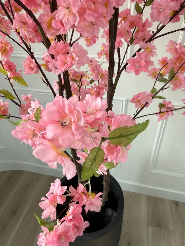 Main tree