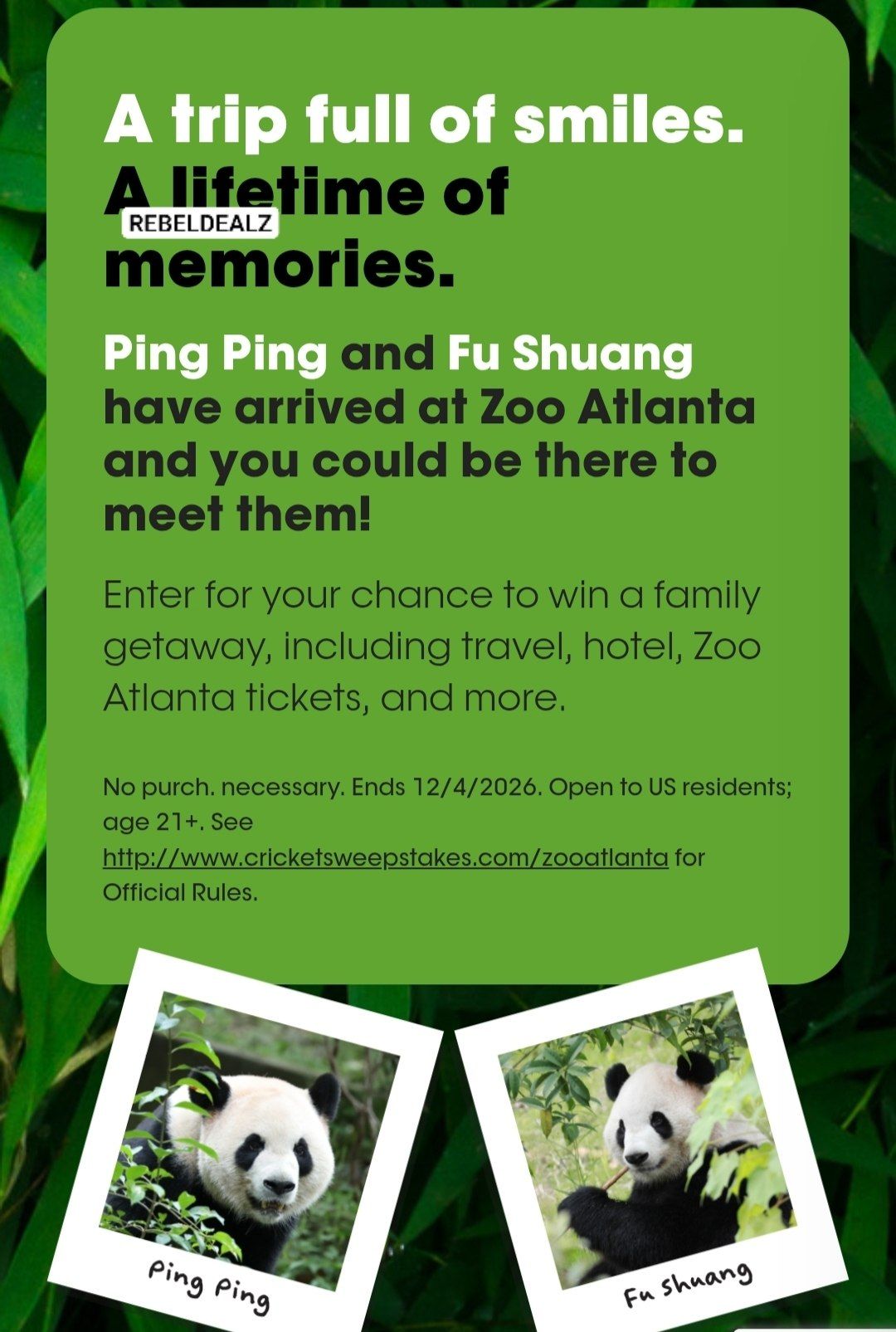 Cricket Wireless Zoo Atlanta Panda Flyaway Sweepstakes