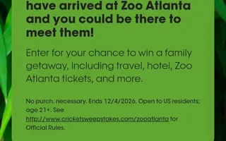 Cricket Wireless Zoo Atlanta Panda Flyaway Sweepstakes